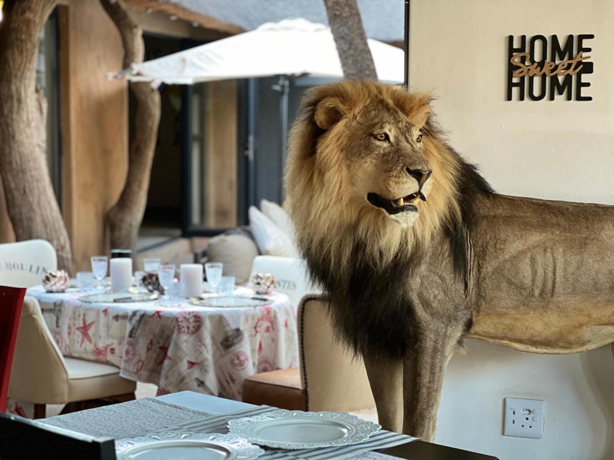Simba Safaris African Pride Exotic Lodge Lephalale Exterior photo
