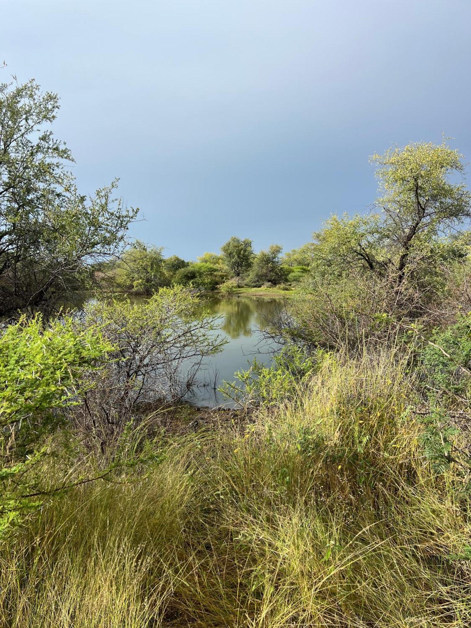 Simba Safaris African Pride Exotic Lodge Lephalale Exterior photo